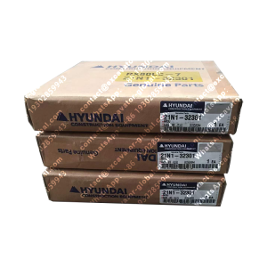 Original Hyundai Excavator Spare Parts ECU 21N1-32301 Application for Machinery R80-7